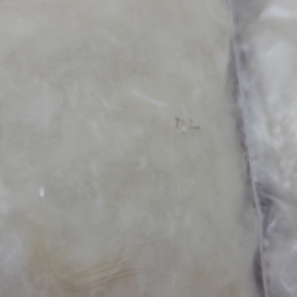 Ader Error Transparent Down Puffer Jacket * Flaws… - image 4